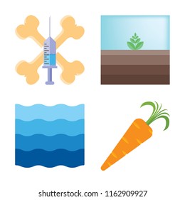 Set of 4 vector icons such as Treats, Terrarium, Water, Carrot, web UI editable icon pack, pixel perfect