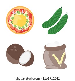 Set of 4 vector icons such as Pizza, Cucumber, Coconut, Flour, web UI editable icon pack, pixel perfect