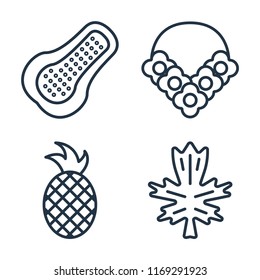 Set of 4 vector icons such as Papaya, Flower necklace, Pineapple, Leaf, web UI editable icon pack, pixel perfect