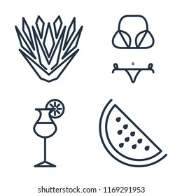 Set of 4 vector icons such as Yucca, Bikini, Cocktail, Watermelon, web UI editable icon pack, pixel perfect