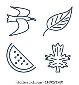 Set of 4 vector icons such as Albatross, Leaf, Watermelon, web UI editable icon pack, pixel perfect