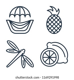 Set of 4 vector icons such as Hammocks, Pineapple, Dragon fly, Lime, web UI editable icon pack, pixel perfect