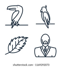 Set of 4 vector icons such as Toucan, Parrot, Leaf, Man, web UI editable icon pack, pixel perfect