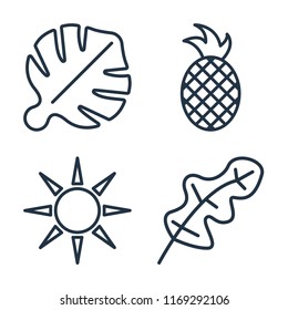 Set of 4 vector icons such as Leaf monstera, Pineapple, Sun, Leaf, web UI editable icon pack, pixel perfect