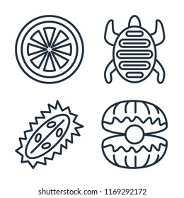 Set of 4 vector icons such as Grapefruit, Tortoise, Durian, Oyster, web UI editable icon pack, pixel perfect