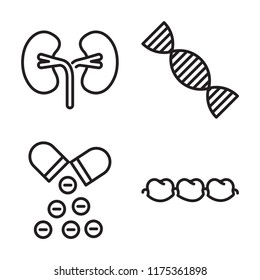 Set of 4 vector icons such as Kidney, Dna, Antibiotic, Molar, web UI editable icon pack, pixel perfect