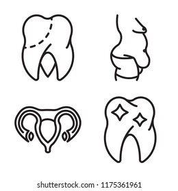Set of 4 vector icons such as Molar, Fat, Uterus, Premolar, web UI editable icon pack, pixel perfect