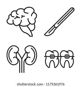Set of 4 vector icons such as Brain, Scalpel, Kidney, Braces, web UI editable icon pack, pixel perfect