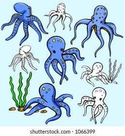 A set of 4 vector illustrations of octopus in color, and black and white renderings.