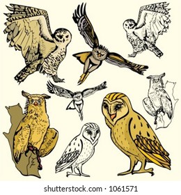 A set of 4 vector illustrations of owls.