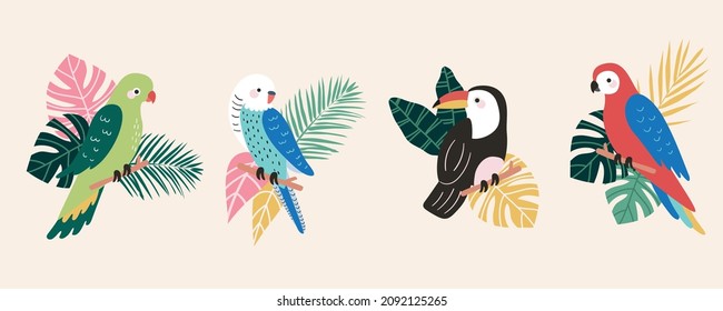 Set Of 4 Vector Parrots Cockatoos Toucans Macaw Parakeets Tropical Birds With Leaves Palms Monstera Isolated