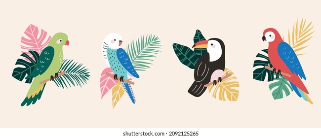 Set of 4 Vector Parrots Cockatoos Toucans Macaw Parakeets Tropical Birds with Leaves Palms Monstera Isolated