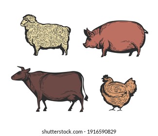 Set of 4 vintage farm animal icons. Sheep, pig, cow and chicken vintage sketches isolated on white background. Farm animals designed for emblems, badges, posters. Vector illustration