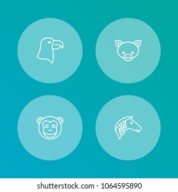 Set of 4 zoo icons line style set. Collection of swine, ape, aquila and other elements.