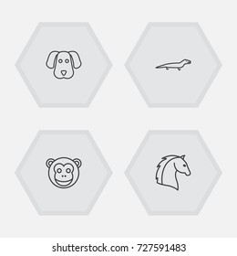 Set Of 4 Zoo Outline Icons Set.Collection Of Horse, Monkey, Lizard And Other Elements.