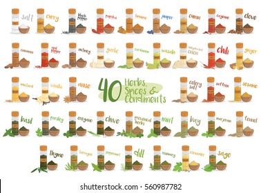 Set of 40 different culinary herbs, species and condiments in cartoon style.