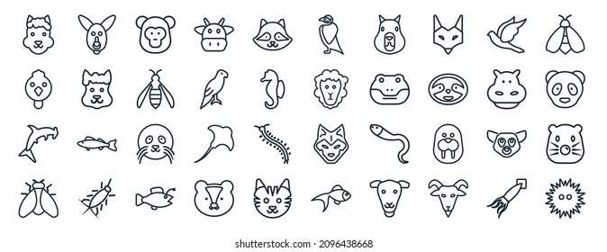 set of 40 flat animals web icons in line style such as kangaroo, cock, hummerhead, fly, hippopotamus, bee, deadlock icons for report, presentation, diagram, web design