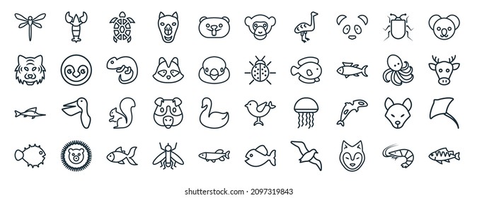set of 40 flat animals web icons in line style such as lobster, tiger, swordfish, globe fish, octopus, koala, chimpanzee icons for report, presentation, diagram, web design