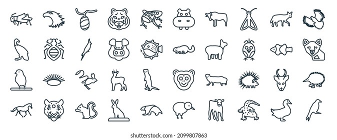 set of 40 flat animals web icons in line style such as hawk, vulture, canary, wild horse, clownfish, flying dove, hippo icons for report, presentation, diagram, web design