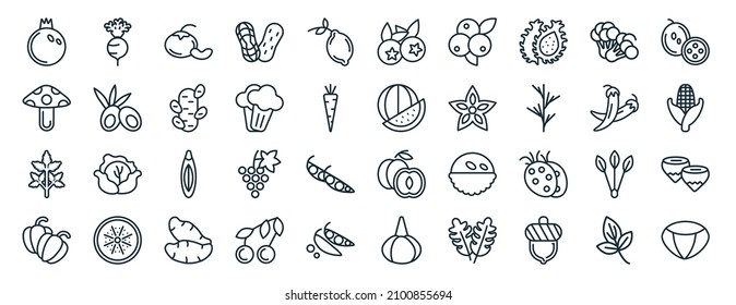 20,809 Tuber fruit Images, Stock Photos & Vectors | Shutterstock