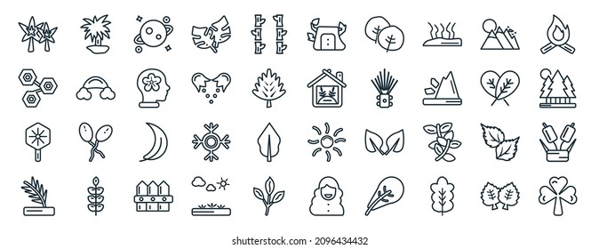 set of 40 flat nature web icons in line style such as yucca, chemical structure, orbicular, pine leaf, plum leaf, burning flames, stump house icons for report, presentation, diagram, web design