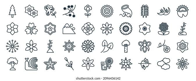 set of 40 flat nature web icons in line style such as narcissus, jasmine, dandelion, beech, hydrangea, nymphea, peony icons for report, presentation, diagram, web design