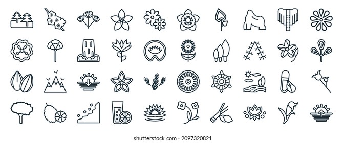 conjunto de 40 iconos web de naturaleza plana en estilo de línea como sakura, zinnia, almendra, haya, adelfa, flor, íconos de gardenia para reportar, presentar, diagrama, diseño web
