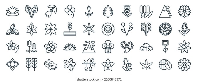 set of 40 flat nature web icons in line style such as peppermint, bougainvillea, orchid, hydrangea, aster, astrantia, cedar icons for report, presentation, diagram, web design