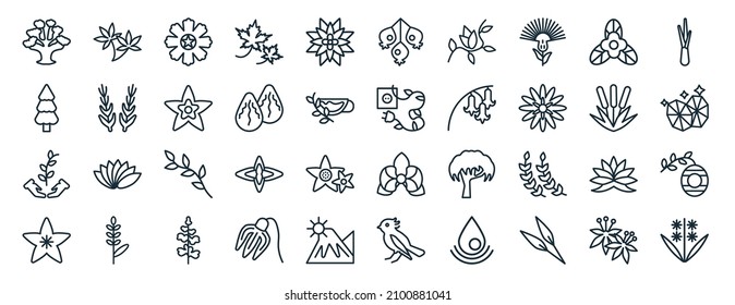 set of 40 flat nature web icons in line style such as hemp, pine tree, save nature, hypericum, reed, lemongrass, hawthorn icons for report, presentation, diagram, web design