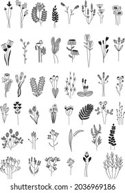 Set of 44 different wild flowers. Hand-draw vector illustration of cute flower.Black silhouettes of grass, flowers and herbs isolated on white background. Hand drawn flowers.Botanical collection.