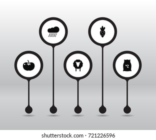Set Of 5 Agriculture Icons Set.Collection Of Lamb, Cloud, Radish And Other Elements.