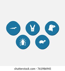 Set Of 5 Alive Icons Set.Collection Of Aquila, Bunny, Gecko And Other Elements.