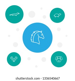 Set of 5 animal icons line style set. Collection of tortoise, reptile, hound and other elements.