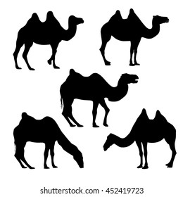 Set of 5 bactrian camel silhouettes