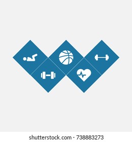 Set Of 5 Bodybuilding Icons Set.Collection Of Dumbbell, Barbell, B-Ball And Other Elements.