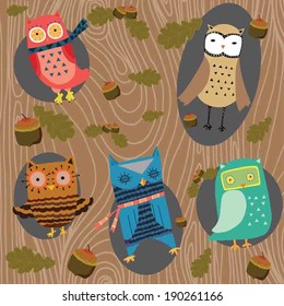 Set of 5 cute decorative owls with wooden background and oak leaf and acorn vector made from original drawing