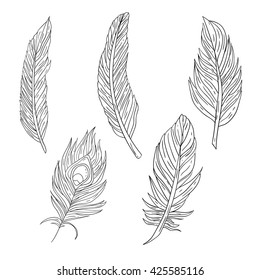 Set of 5 different kind bird feathers. Isolated on white background with outlines. Easy to use in your designs. In black lines.