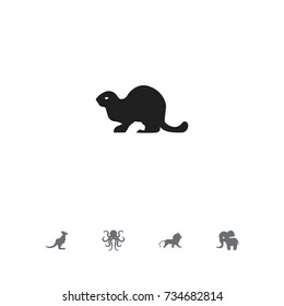 Set Of 5 Editable Animal Icons. Includes Symbols Such As Tentacle, Wallaby, Wildcat And More. Can Be Used For Web, Mobile, UI And Infographic Design.