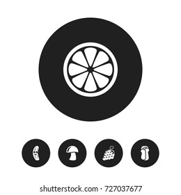 Set Of 5 Editable Vegetable Icons. Includes Symbols Such As Cucumber, Lemon Piece, Sweet Fruit And More. Can Be Used For Web, Mobile, UI And Infographic Design.