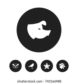 Set Of 5 Editable Zoo Icons. Includes Symbols Such As Sow, Rooster, Sea Star And More. Can Be Used For Web, Mobile, UI And Infographic Design.