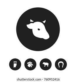 Set Of 5 Editable Zoo Icons. Includes Symbols Such As Panda, Rooster, Owl. Can Be Used For Web, Mobile, UI And Infographic Design.