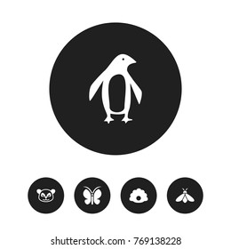 Set Of 5 Editable Zoo Icons. Includes Symbols Such As Conch, Diver, Moth And More. Can Be Used For Web, Mobile, UI And Infographic Design.