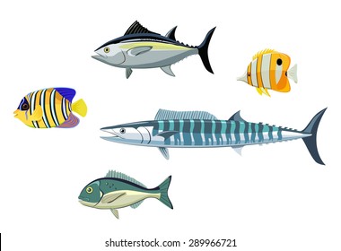 Set of 5 fish on a white background.