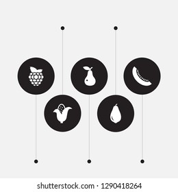 Set of 5 food icons set. Collection of melon, papaya, blackberry and other elements.