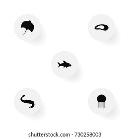 Set Of 5 Food Icons Set.Collection Of Clam, Shark, Stingray And Other Elements.