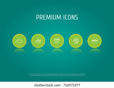 Set Of 5 Food Outline Icons Set.Collection Of Hotdog, Bbq, Raw Fish And Other Elements.