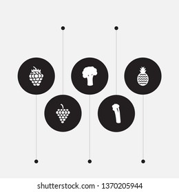 Set of 5 fruit icons set. Collection of grape, celery, raspberry and other elements.