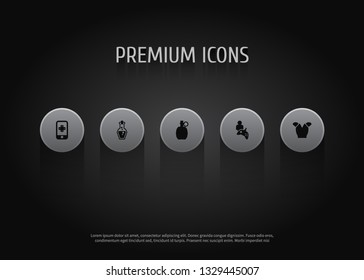 Set of 5 gaming icons set. Collection of body armor, mana potion, grenade and other elements.