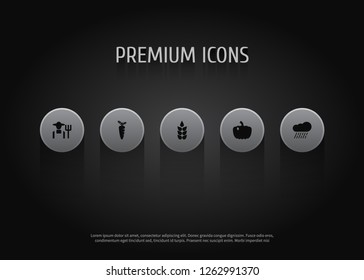 Set of 5 harvest icons set. Collection of pumpkin, carrot, rain and other elements.