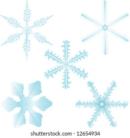 Set of 5 highly detailed and editable snow flakes. Colors can easily be changed.